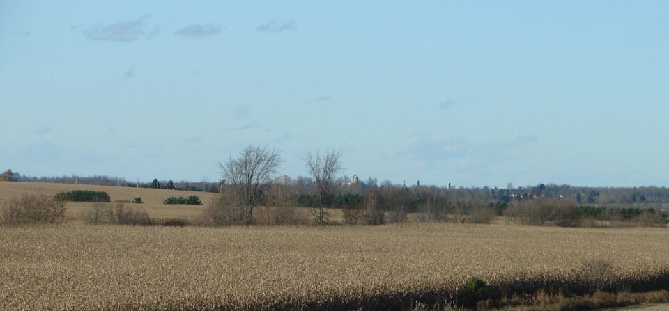 Agriculture industrielle