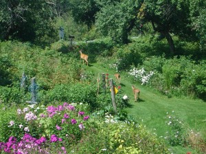 Mon jardin, avec ses chevreuils, ne mérite pas plus le statut d'aire protégée qu'Anticosti. Il mérite, par contre, d'être protégé, comme Anticosti, de toute intention d'exploitation par le fracking, une technologie aux impacts dévastateurs.